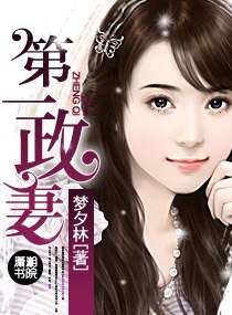 《第一政妻(高幹寵文)》
