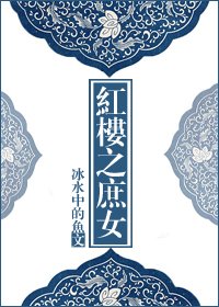 (紅樓同人)紅樓之庶女