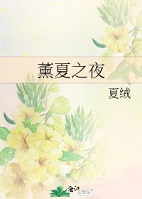 《薰夏之夜》