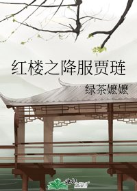 《紅樓之降服賈璉》