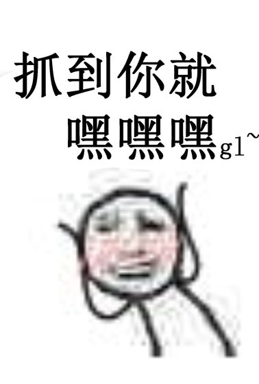《抓到你就嘿嘿嘿gl》