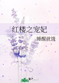 紅樓之寵妃