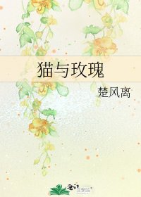貓與玫瑰