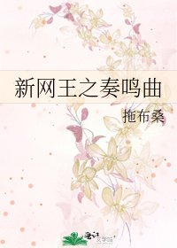 新網王之奏鳴曲