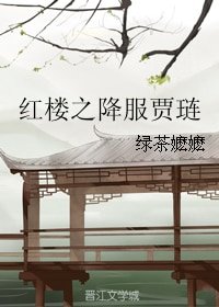 《(紅樓夢同人)紅樓之降服賈璉》